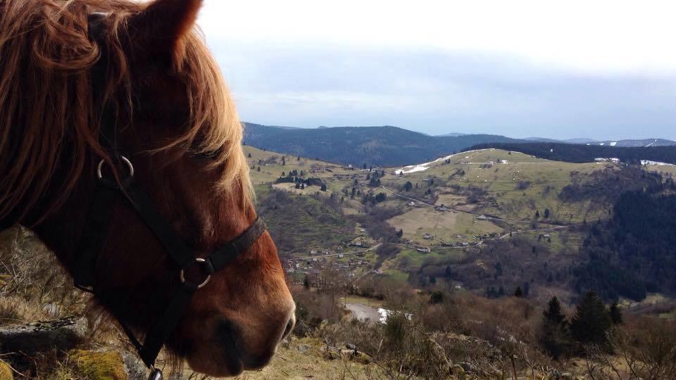 Willa Equi'Val Le Tholy Zewnętrze zdjęcie
